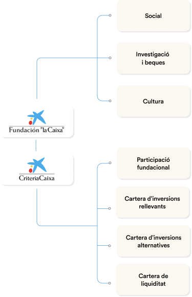 Esquema: estructura del grup (versió mòbil)